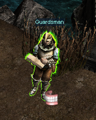 Guardsman NPC