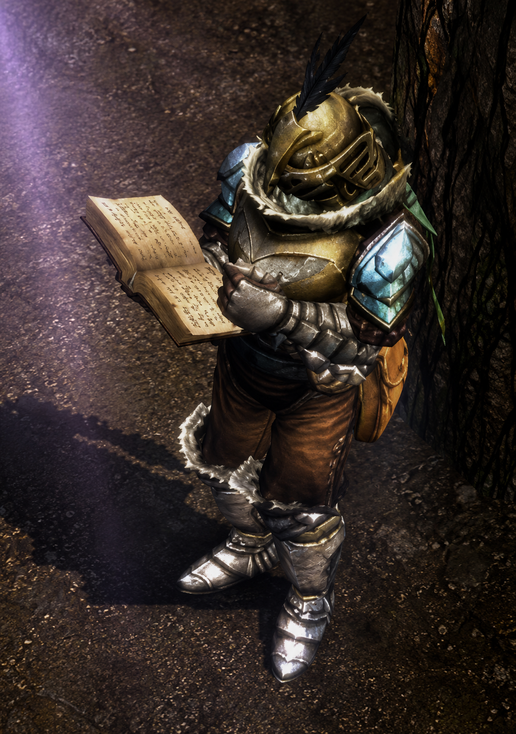 Guardsman NPC for Castle Siege registration in Valley of Loren