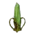 Elemental Rune drop item