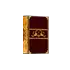 Skill Book item