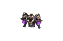 Integrity Set